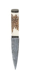 Staghorn damascus sgian dubh with blackwood - Celtic Corner / Scottish Treasures
