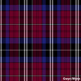 Gwyn/Wynn Welsh Tartan.  Scottish Treasures Celtic Corner