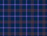 Actual image of tartan from the registry.