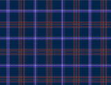 Actual image of tartan from the registry.